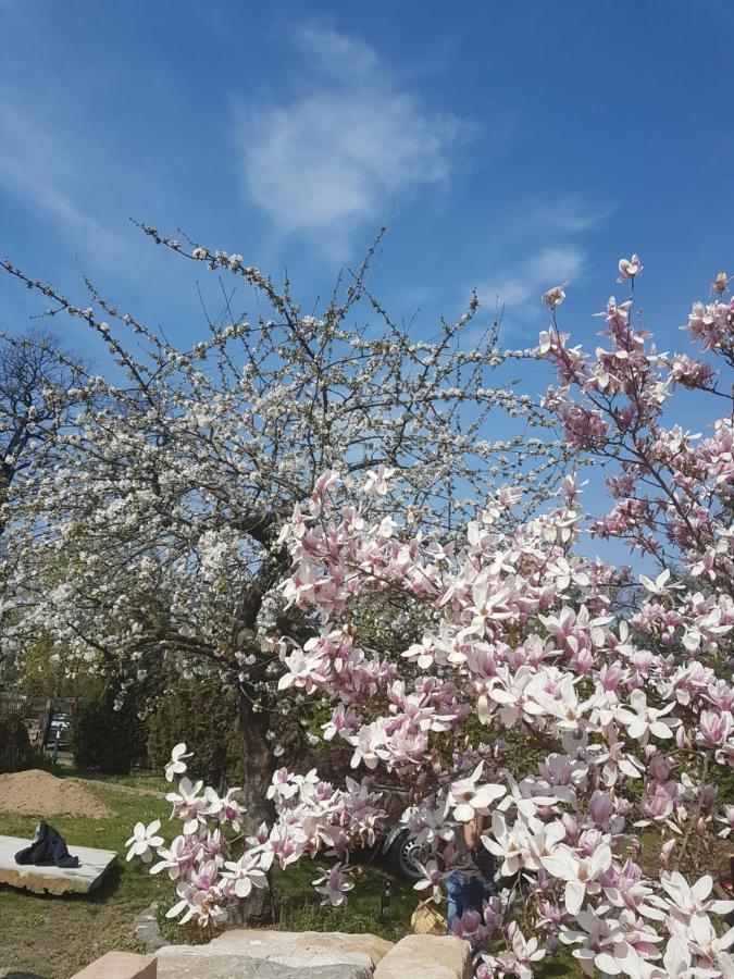 Zur Ausspanne Vakantiehuis *